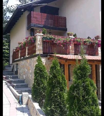 Apartment Niva Zlatibor Luaran gambar