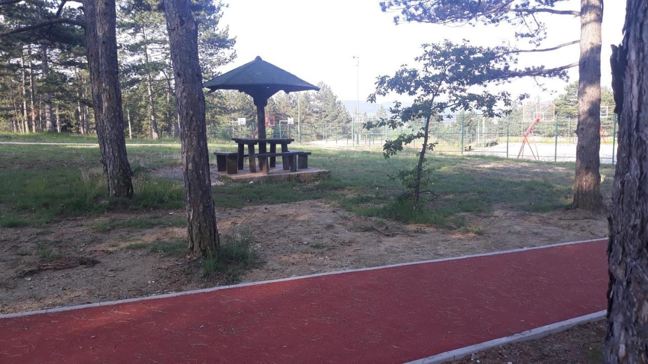 Apartment Niva Zlatibor Luaran gambar