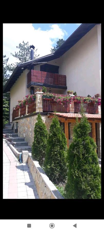 Apartment Niva Zlatibor Luaran gambar