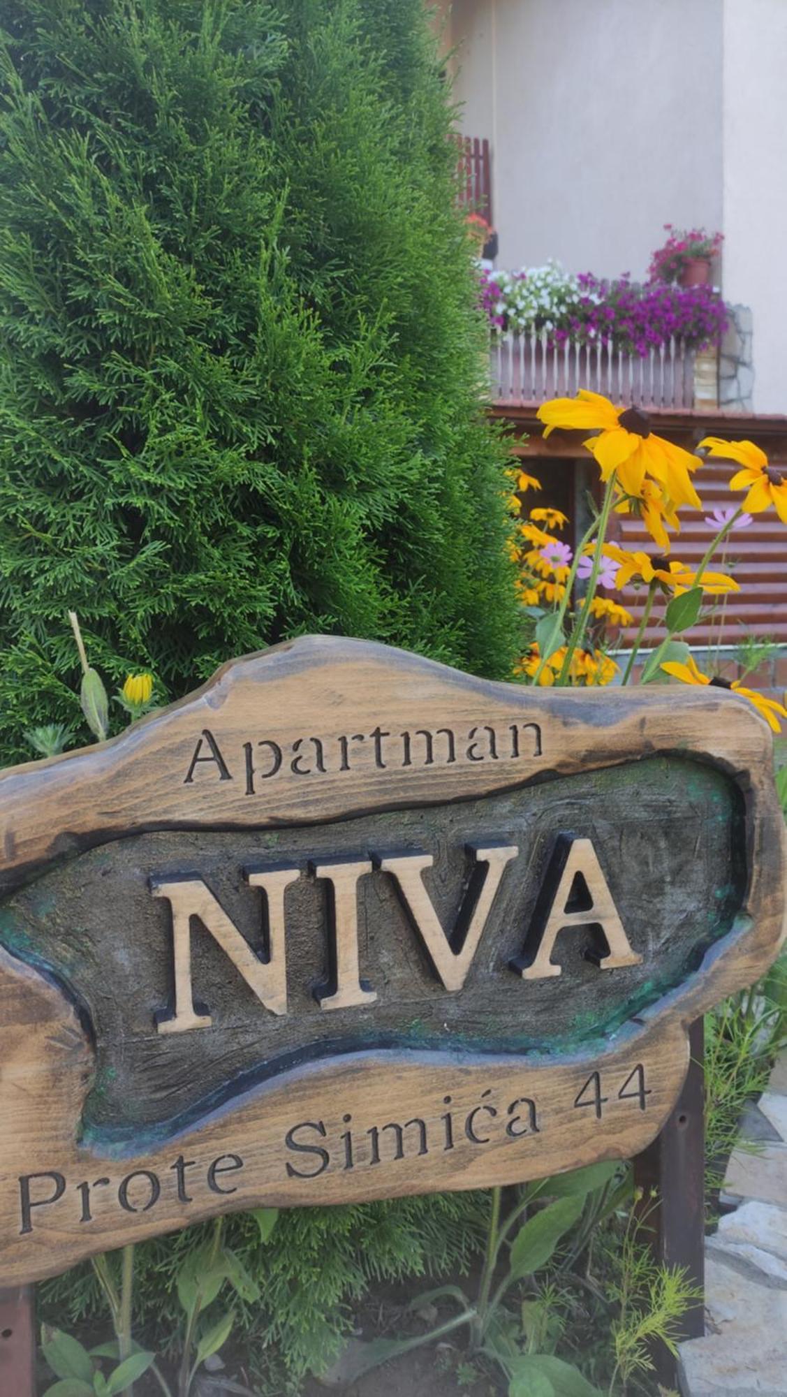 Apartment Niva Zlatibor Luaran gambar